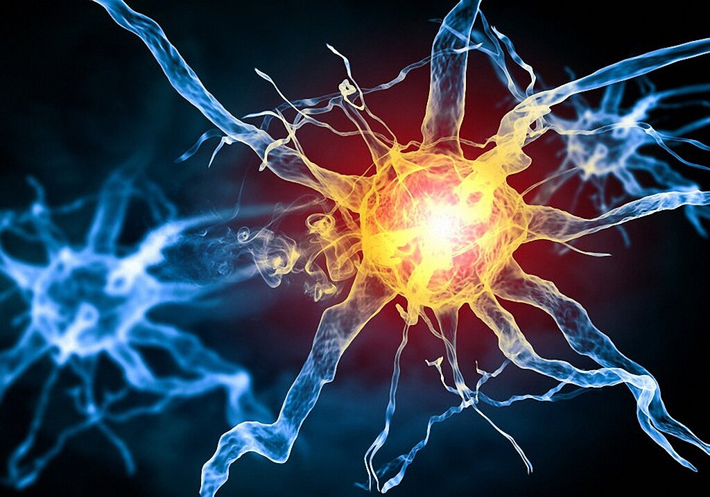 Как нервная система передает электричество, если нервы — не провода?